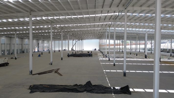 Encino_2025_julio_06